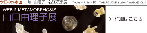 山口由理子展&nbsp;&nbsp;詳細はこちら