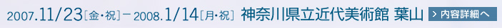 2007年11月23日から2008年1月14日まで 神奈川県立近代美術館 葉山 展示内容詳細はこちら
