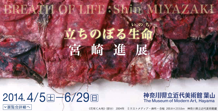 宮崎進展　会期は2014年4月5日（土曜）から6月29日（日曜）まで　展覧会内容詳細はこちら