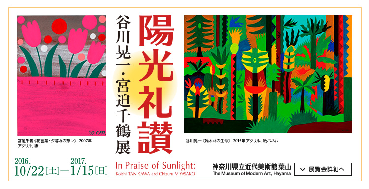 陽光礼讃 谷川晃一・宮迫千鶴展　会期は2016年10月22日（土曜）から2017年1月15日（日曜）まで　展覧会詳細へ