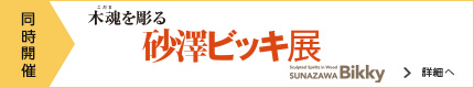 木魂を彫る―砂澤ビッキ展