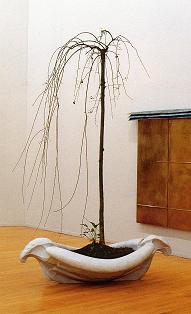 《舟》　1980-81 年　大理石、土、樹木
