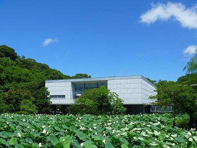 神奈川県立近代美術館 鎌倉