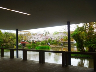 神奈川県立近代美術館 鎌倉　テラスより（4月）