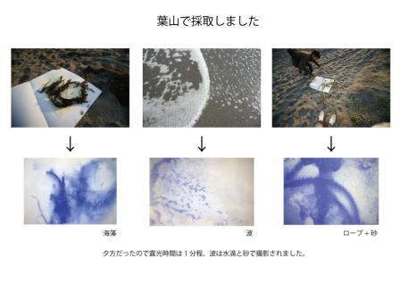 葉山で見つけたもの