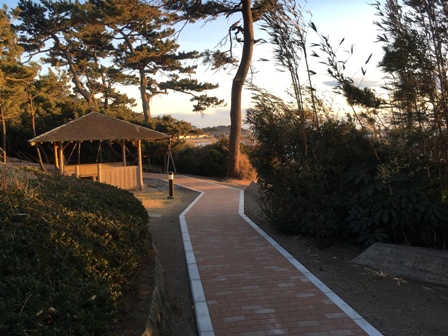 葉山館 散策路
