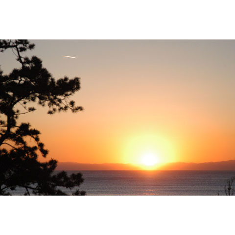 今日の夕陽